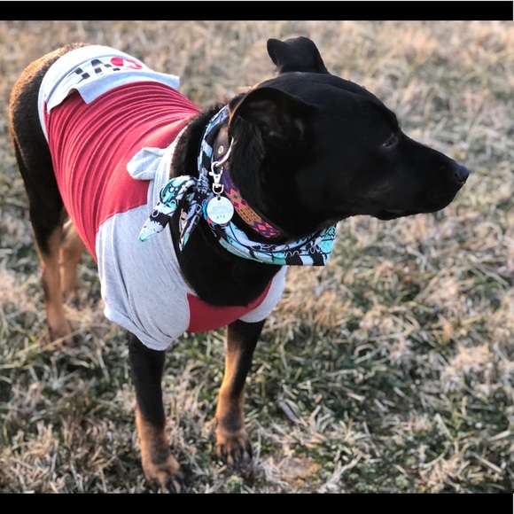 Meet your Posher, Natalie - Picture 2 of 13